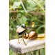 Dekorace do zahrady - mravenec Suzie