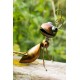 Dekorace do zahrady - mravenec Annabelle