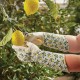 Dámské kožené rukavice dlouhé - lemon