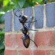 Zahradní kovové zvíře do zahrady - kovový mravenec Oskar