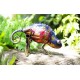 Dekorace do zahrady - chameleon Tanzania